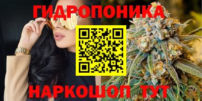эйфоретик Пыть-Ях