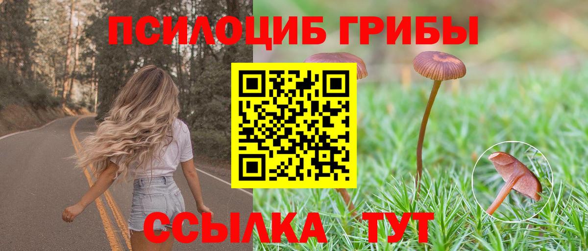 Галлюциногенные грибы Psilocybe Алушта