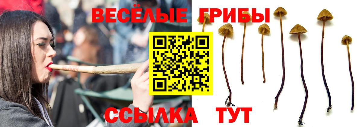 Алушта  Галлюциногенные грибы мухоморы  Вход с VPN 